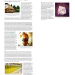 303Magazine.com 8.31.12