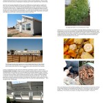 BoulderLocavore.com (2) 8.8.12