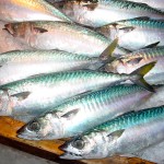 fish_eyes fish_eyes